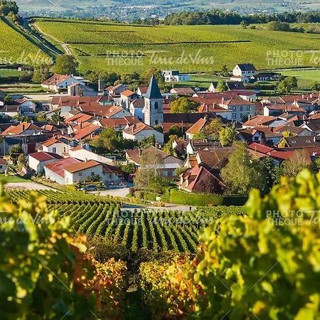 Maison Eco-chic 4 Proche Et Troyes Jardin Wifi Nigloland *