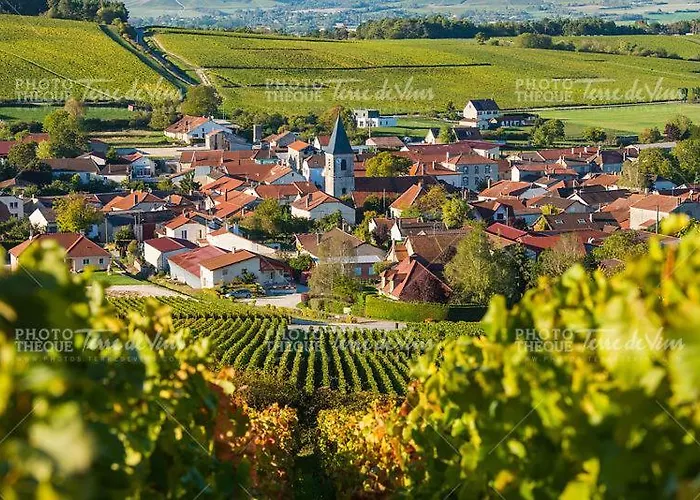 Maison Eco-chic 4 Proche Et Troyes Jardin Wifi Nigloland *