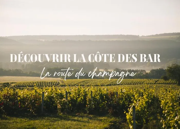 Maison Eco-chic 4 Proche Et Troyes Jardin Wifi Nigloland